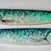 herring mackerel